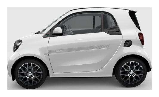 Stickerset Smart Fortwo Smart Forfour Brabus Türsticker Silber