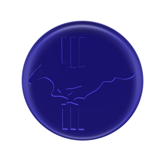 Federbeinabdeckung Set Ford Mustang 2011 Domlagerabdeckung vorne (Kopie)