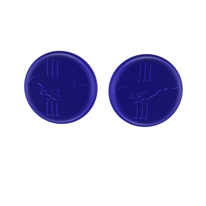 Federbeinabdeckung Set Ford Mustang 2011 Domlagerabdeckung vorne (Kopie)