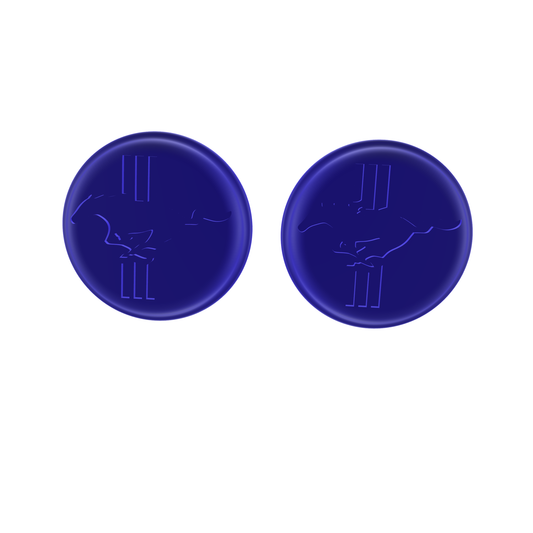 Federbeinabdeckung Set Ford Mustang 2011 Domlagerabdeckung vorne (Kopie)